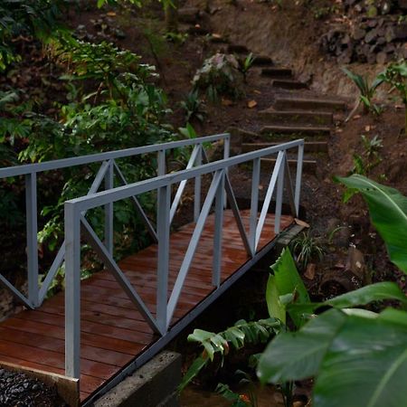 Volcano Gold Loft La Fortuna ภายนอก รูปภาพ