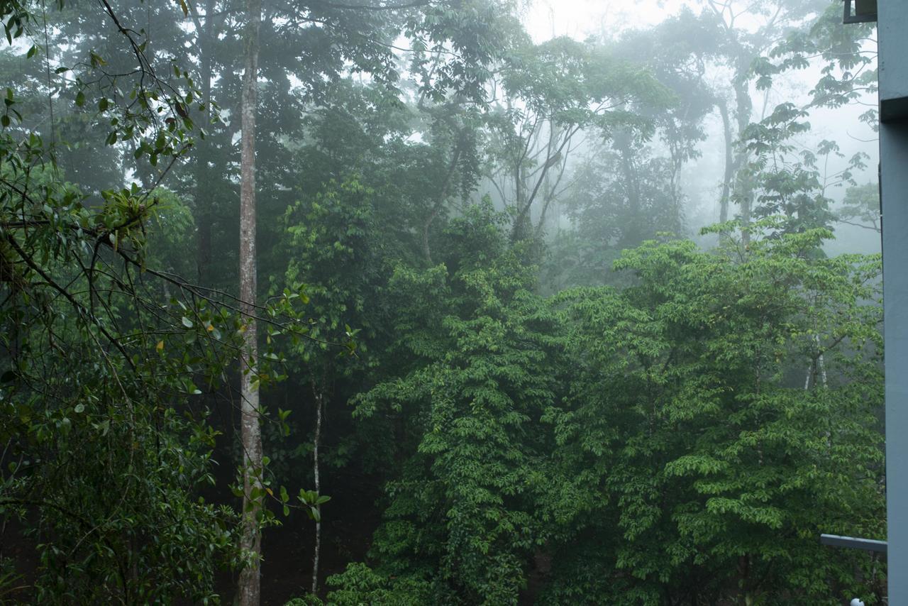 Volcano Gold Loft La Fortuna ภายนอก รูปภาพ