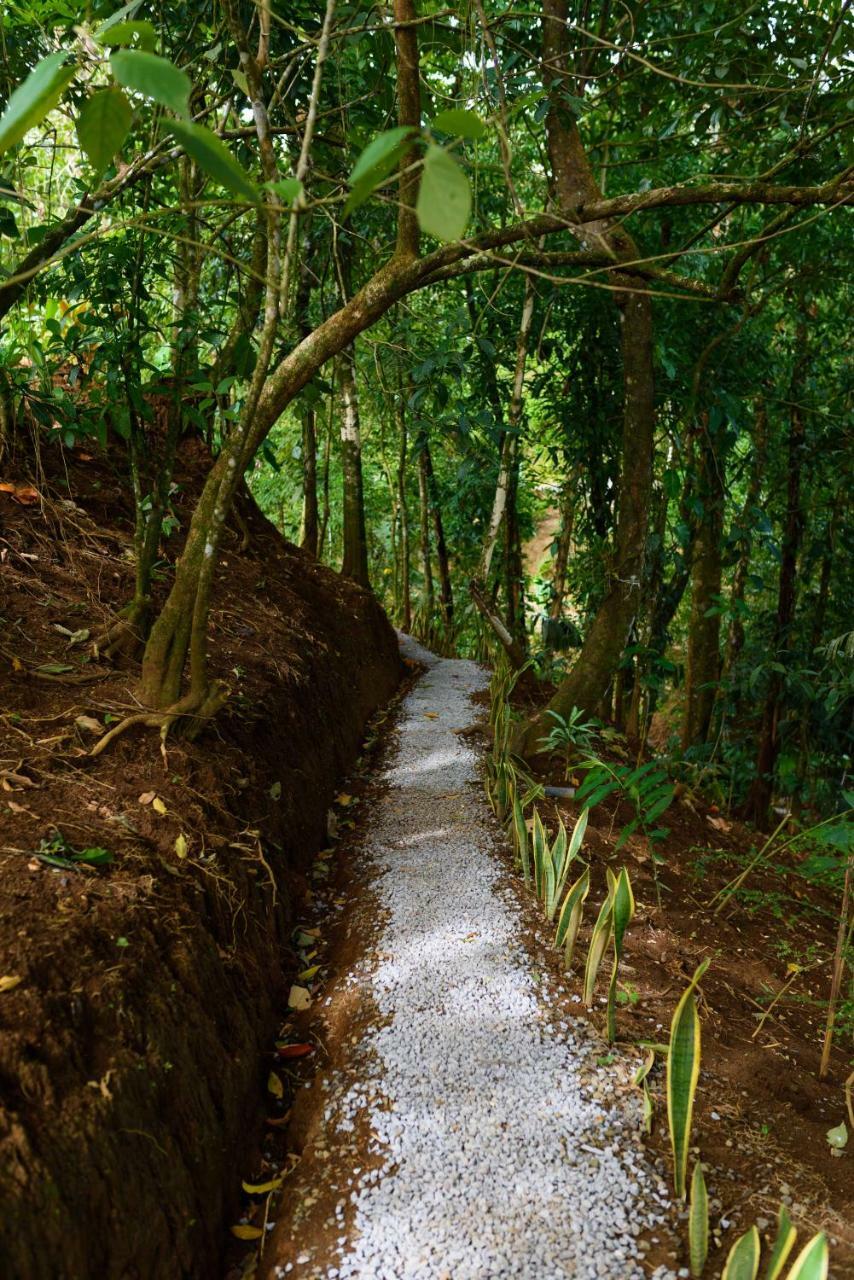 Volcano Gold Loft La Fortuna ภายนอก รูปภาพ