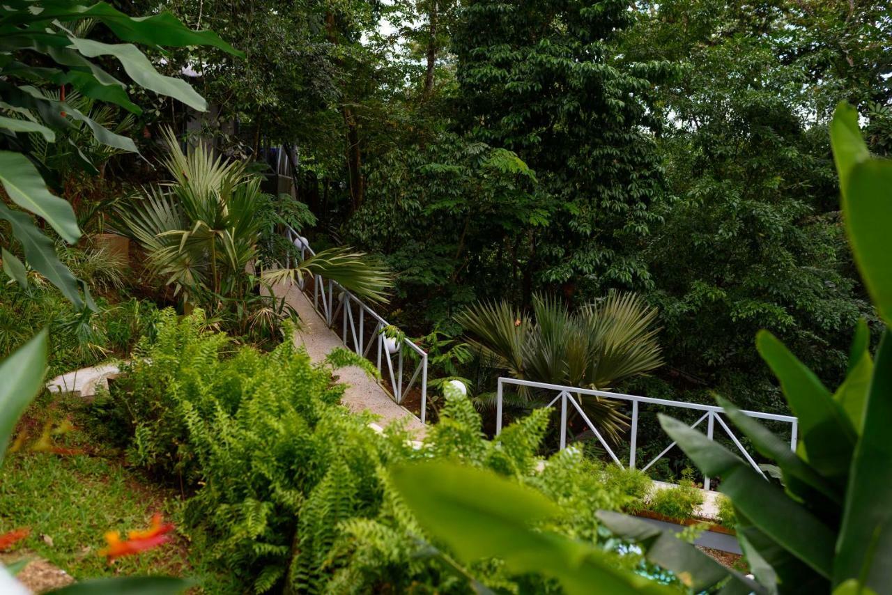 Volcano Gold Loft La Fortuna ภายนอก รูปภาพ