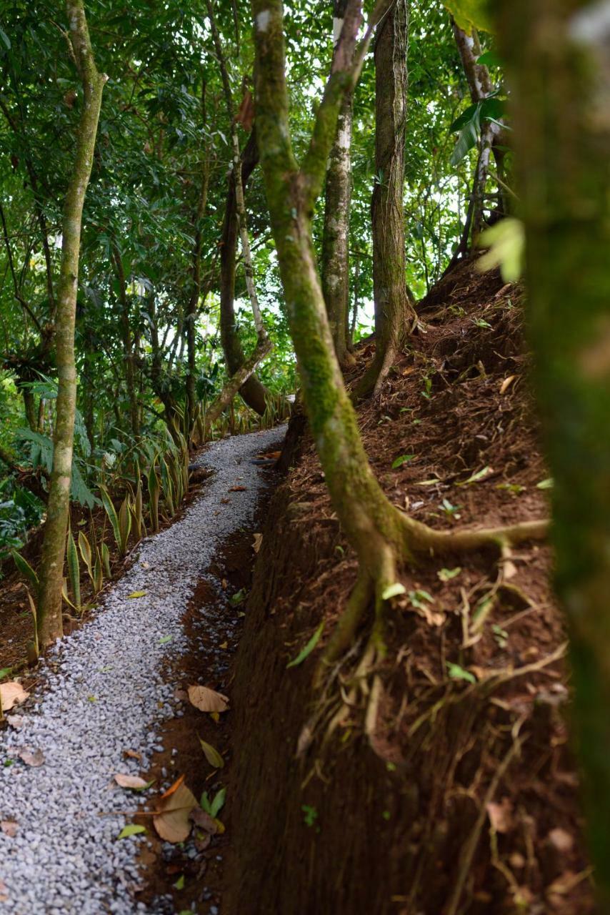 Volcano Gold Loft La Fortuna ภายนอก รูปภาพ