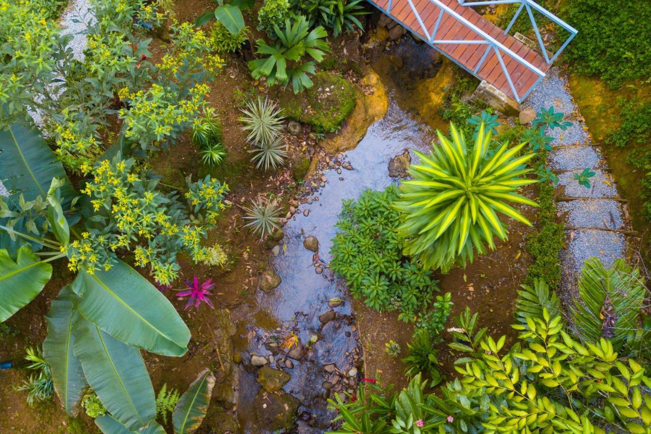 Volcano Gold Loft La Fortuna ภายนอก รูปภาพ